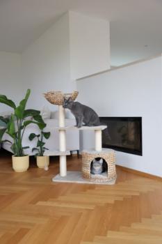 [B-Ware] Kerbl Katzen-Kratzbaum Banana Leaf Jade